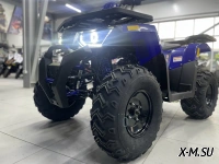 Квадроцикл PROMAX WILD 300