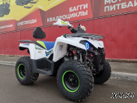 Квадроцикл PROMAX RENEGADE 280 LUX (2025)