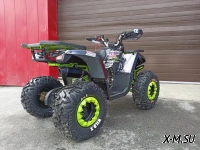 Квадроцикл PROMAX STORM 190 LUX