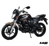 Мотоцикл MOTOLAND (МОТОЛЕНД) 300 BANDIT