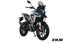 Мотоцикл MOTOLAND (МОТОЛЕНД) 300 ENDURO GS (175FMM-5)