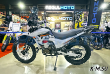 Мотоцикл Regulmoto TE PRO NB300