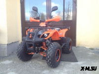 Квадроцикл ATV Termit Libre