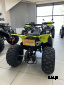 Квадроцикл MOTOLAND (МОТОЛЕНД) 125 RAPTOR A черно-желтый