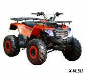 Квадроцикл WELS THUNDER AX125