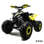 Квадроцикл MOTOLAND (МОТОЛЕНД) 125 RAPTOR A