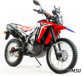 Мотоцикл MOTOLAND (МОТОЛЕНД) Кросс DAKAR ST (172FMM)