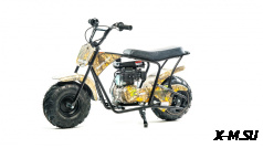 Мотоцикл MOTOLAND (МОТОЛЕНД) RT100