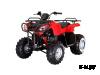 Квадроцикл ARMADA ATV 150L